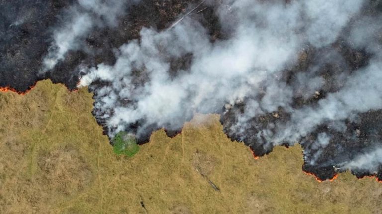 Амазонија ги доживува најлошите шумски пожари во последните 13 години